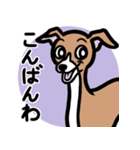 【レッド2】1年中使えるイタグレのスタンプ（個別スタンプ：3）