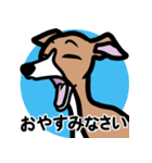 【レッド2】1年中使えるイタグレのスタンプ（個別スタンプ：4）