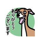 【レッド2】1年中使えるイタグレのスタンプ（個別スタンプ：5）