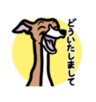 【レッド2】1年中使えるイタグレのスタンプ（個別スタンプ：6）
