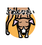 【レッド2】1年中使えるイタグレのスタンプ（個別スタンプ：7）