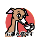 【レッド2】1年中使えるイタグレのスタンプ（個別スタンプ：8）