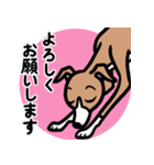 【レッド2】1年中使えるイタグレのスタンプ（個別スタンプ：9）