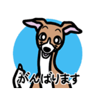 【レッド2】1年中使えるイタグレのスタンプ（個別スタンプ：11）