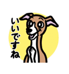 【レッド2】1年中使えるイタグレのスタンプ（個別スタンプ：13）