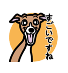 【レッド2】1年中使えるイタグレのスタンプ（個別スタンプ：14）