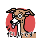 【レッド2】1年中使えるイタグレのスタンプ（個別スタンプ：22）
