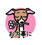 【レッド2】1年中使えるイタグレのスタンプ（個別スタンプ：23）