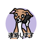 【レッド2】1年中使えるイタグレのスタンプ（個別スタンプ：24）