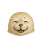 柴あざらし（個別スタンプ：1）