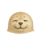 柴あざらし（個別スタンプ：7）
