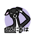 【ブラック2】1年中使えるイタグレスタンプ（個別スタンプ：2）
