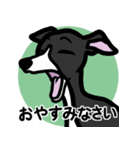 【ブラック2】1年中使えるイタグレスタンプ（個別スタンプ：4）