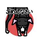 【ブラック2】1年中使えるイタグレスタンプ（個別スタンプ：7）