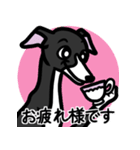 【ブラック2】1年中使えるイタグレスタンプ（個別スタンプ：8）