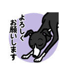 【ブラック2】1年中使えるイタグレスタンプ（個別スタンプ：9）