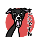 【ブラック2】1年中使えるイタグレスタンプ（個別スタンプ：14）