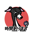 【ブラック2】1年中使えるイタグレスタンプ（個別スタンプ：21）