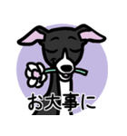 【ブラック2】1年中使えるイタグレスタンプ（個別スタンプ：23）