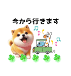 毎日使える柴犬の日常会話スタンプ2（個別スタンプ：3）