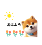 毎日使える柴犬の日常会話スタンプ2（個別スタンプ：13）