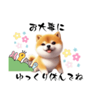 毎日使える柴犬の日常会話スタンプ2（個別スタンプ：19）