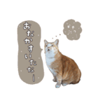 みんなのまいにち☻（個別スタンプ：1）