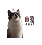 みんなのまいにち☻（個別スタンプ：5）