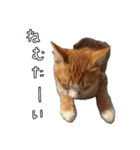 みんなのまいにち☻（個別スタンプ：6）