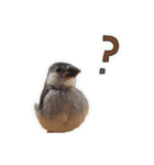 みんなのまいにち☻（個別スタンプ：8）