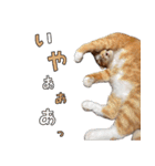 みんなのまいにち☻（個別スタンプ：9）