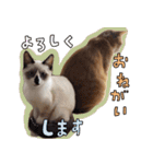 みんなのまいにち☻（個別スタンプ：10）