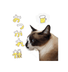 みんなのまいにち☻（個別スタンプ：11）