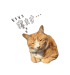 みんなのまいにち☻（個別スタンプ：12）