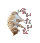 みんなのまいにち☻（個別スタンプ：14）