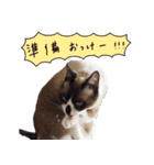 みんなのまいにち☻（個別スタンプ：15）