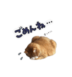 みんなのまいにち☻（個別スタンプ：16）