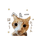 みんなのまいにち☻（個別スタンプ：17）