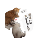 みんなのまいにち☻（個別スタンプ：20）