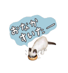 みんなのまいにち☻（個別スタンプ：21）