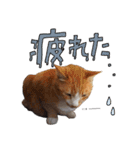 みんなのまいにち☻（個別スタンプ：24）