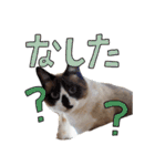 みんなのまいにち☻（個別スタンプ：25）