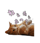 みんなのまいにち☻（個別スタンプ：26）