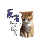 みんなのまいにち☻（個別スタンプ：28）