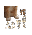 みんなのまいにち☻（個別スタンプ：30）