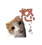みんなのまいにち☻（個別スタンプ：31）