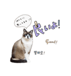 みんなのまいにち☻（個別スタンプ：32）