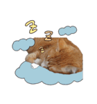 みんなのまいにち☻（個別スタンプ：33）