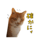 みんなのまいにち☻（個別スタンプ：34）