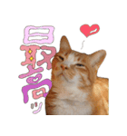 みんなのまいにち☻（個別スタンプ：37）